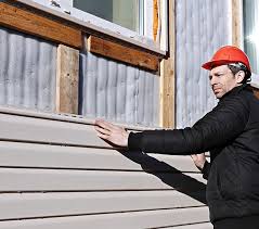 Best Storm Damage Siding Repair  in Ben Bolt, TX